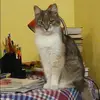 Отзыв от Карина Васильева